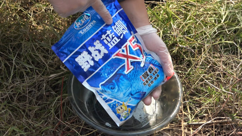 野战蓝鲫经典饵料配方,上鲫鱼的速度一点都不含糊!