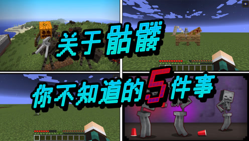 我的世界:爬行者的"嘶声"可以消除,史蒂夫才是mc大陆的入侵者