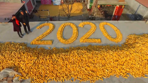 特殊仪式迎新年!农民用玉米棒摆出巨幅2020