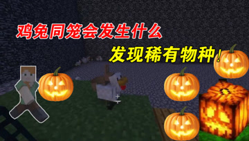 我的世界Mod：大熊开始修建农场，梯田也放满南瓜灯！