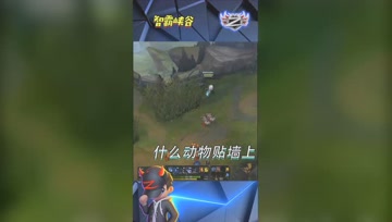 LOL小智：妹子你知道什么动物能贴墙上吗？