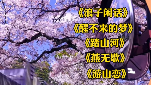 热曲《浪子闲话》《醒不来的梦》《踏山河》《燕无歇》《游山恋》