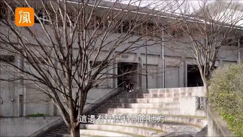 京都大学教育 腾讯视频