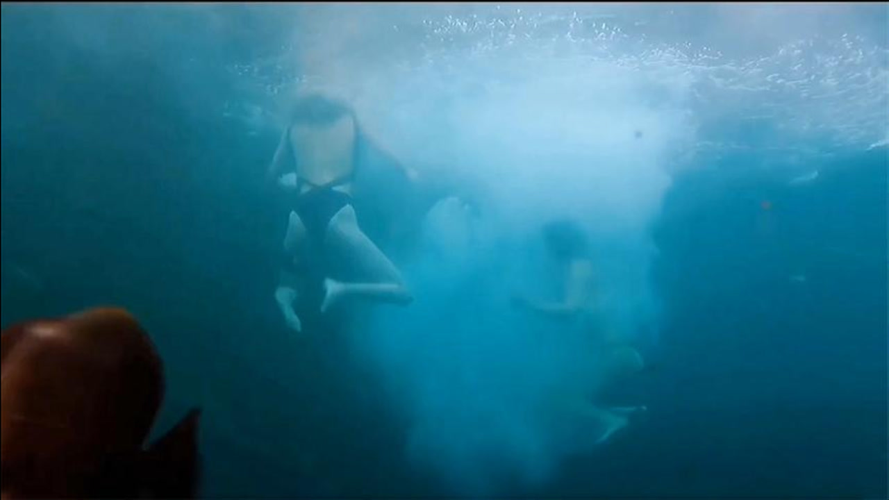 夺命巨鲨 腾讯网