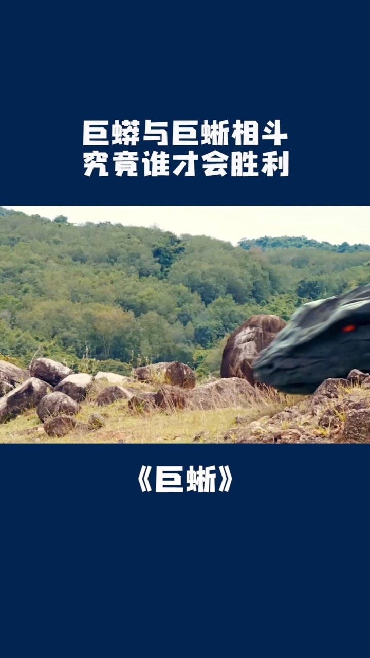 巨大蜥蜴遭遇巨蟒围攻,竟一下子动不了#巨蜥