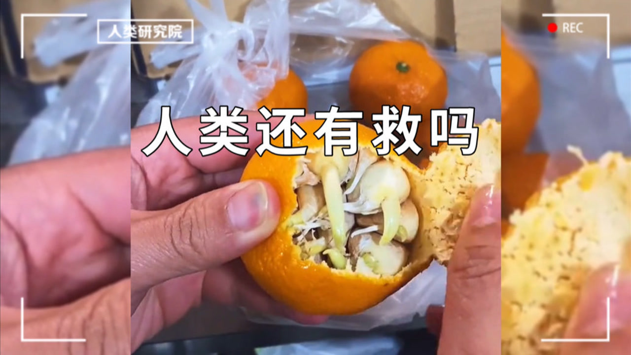 "是桔子出了轨,还是蒜变了心"