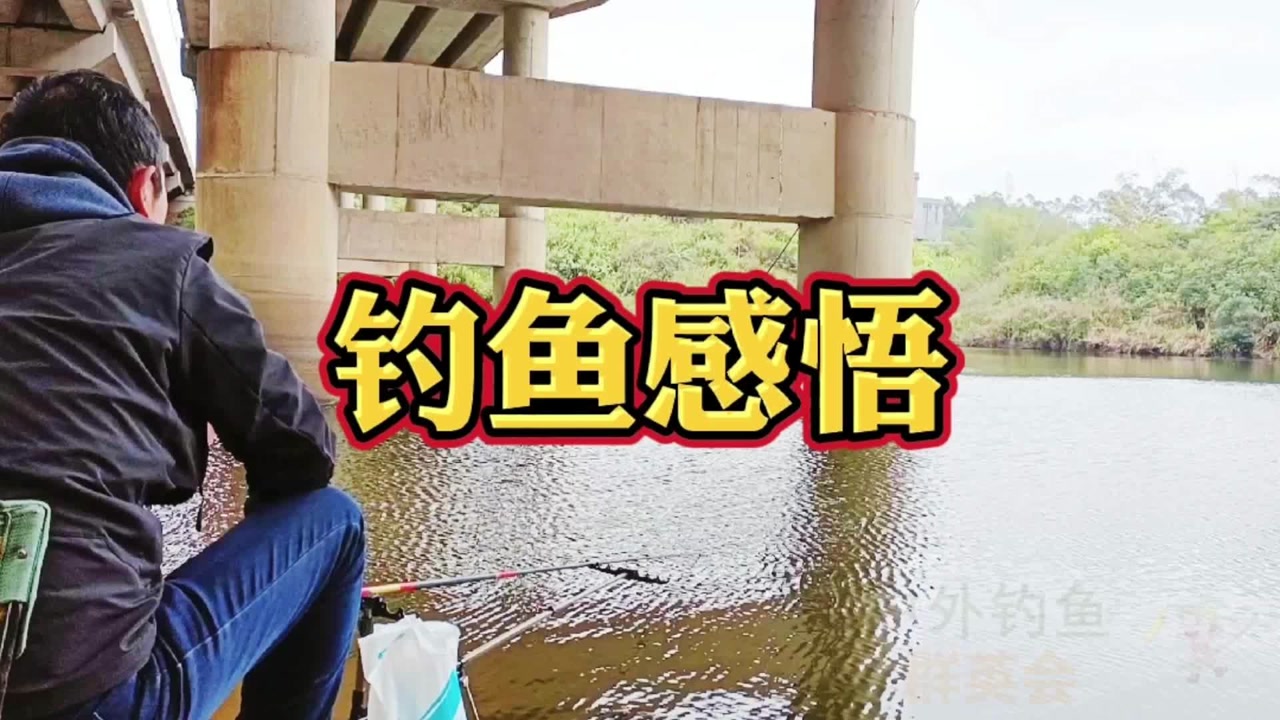 钓鱼感悟出来的人生,太有道理了