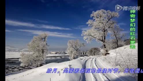 蘇教版四年級語文上冊22 霧凇