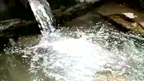 二年级语文下册5 泉水