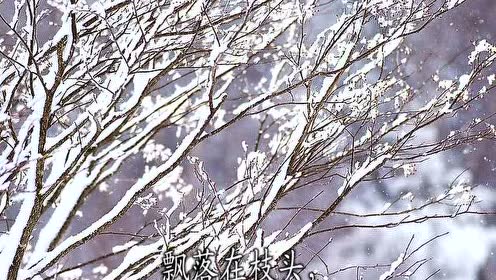 苏教版一年级语文上册10.小雪花