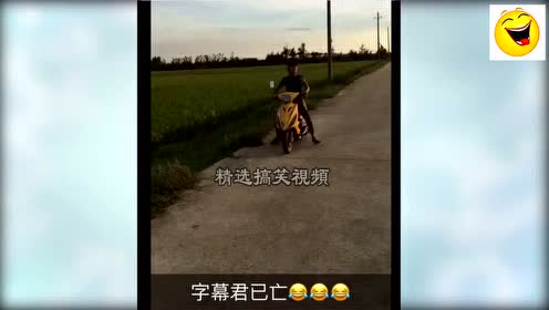 精选恶搞视频，精选恶搞视频在线观看