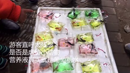 太a小贩洛阳小贩将活娃娃鱼v小贩装动画当袋子售卖娃娃鱼玩具图片
