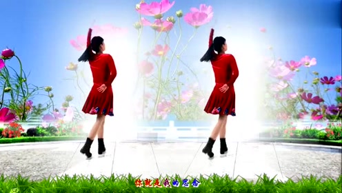 河北青青广场舞《格桑花》32步,很美啊