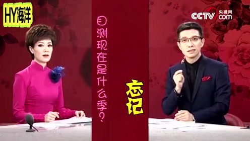 文静被朱广权"拐跑",开启"央视段子plus"