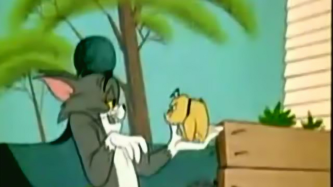 1080p蓝光画质 三倍流畅播放 4k超清体验 05:34 猫和老鼠