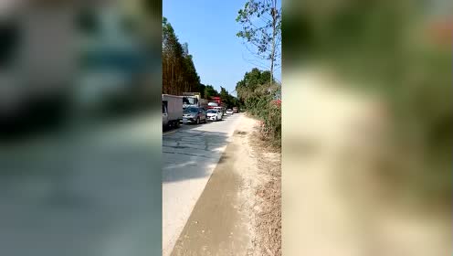封开县有多少人口_品一壶香茗,封开这种海拔900米高的清香,你尝过没