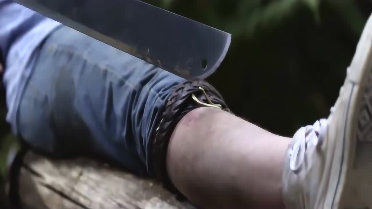 流畅播放 4k超清体验 00:32 无知小孩儿野外玩耍被蛇咬,竟要被砍腿