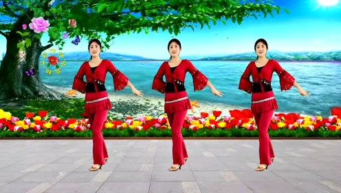 广场舞精《老婆花》简单32步,新歌新舞,好听好看