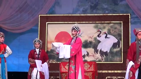 河南豫剧《秦雪梅吊孝》厅堂辩片段,不愧为专业剧团,唱的地道!
