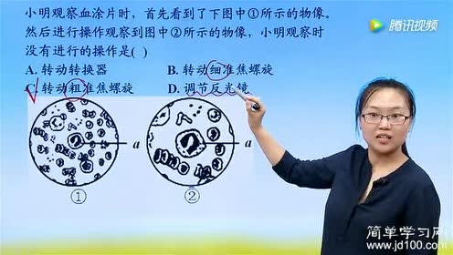 新版七年級生物上冊第2單元第一章 細(xì)胞是生命活動的基本單位