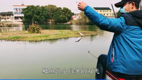 老曹野河钓鱼第一条竟是神兽,后面连杆,双飞鲫鱼,过足手隐!