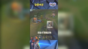 LOL小智：我杨丰智就是狗！关了没啊？