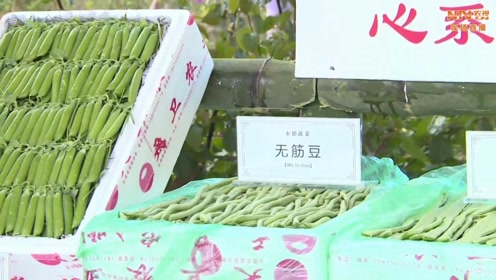 恒春机场新闻 腾讯视频
