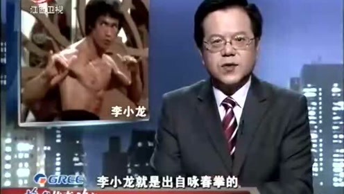 叶问长子 腾讯视频