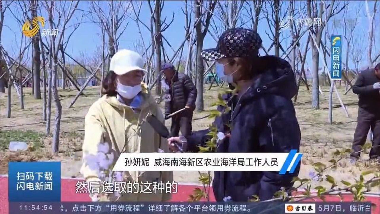 威海南海新区:让荒滩脱胎换骨,将精致城市理念融入生态管理