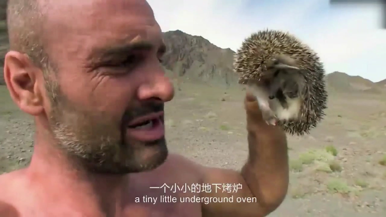 单挑荒野:德爷竟然吃上了叫花刺猬,人间美味,名副其实