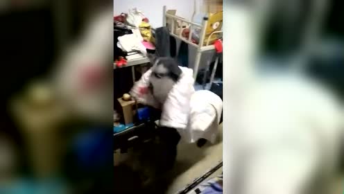 情趣恶搞视频，情趣恶搞视频在线观看