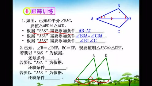 八年级数学上册第12章 全等三角形12.2 三角形全等的判定