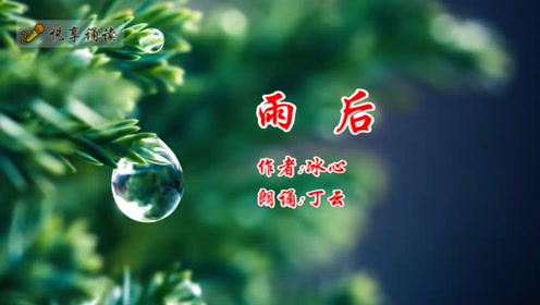  S版二年级语文下册22 雨后