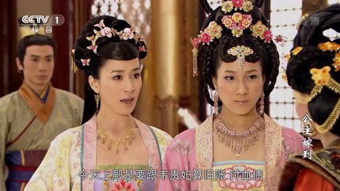 公主嫁到:德善对质韦贵妃,关键时刻昭阳归来