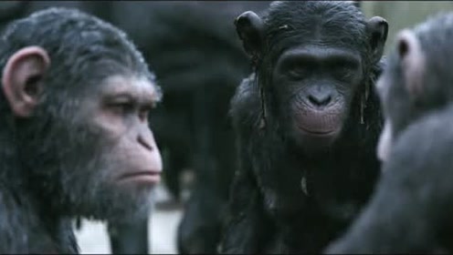 警察故事 薇 3f信 fangdai0592 猩球崛起76zf百度知道 腾讯视频