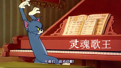 四川方言版猫和老鼠,汤姆猫开演唱会?老鼠跳舞,笑的肚儿痛