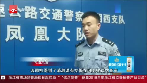 篠原涼子 腾讯视频