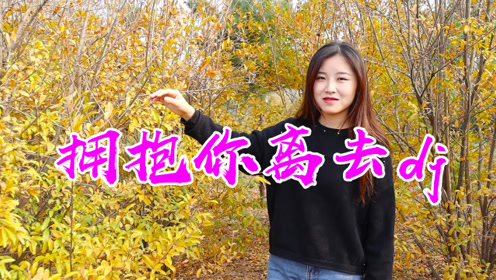 人音版九年級音樂下冊