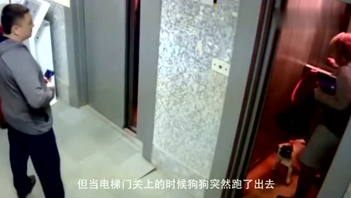 它作死跑出电梯,随后被死死的勒住脖子,监控拍下绝望的30秒