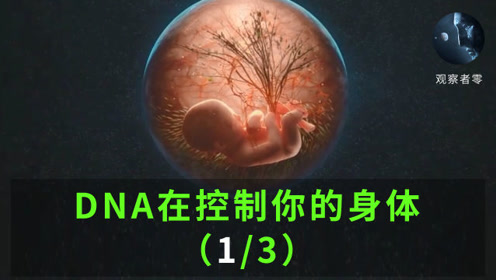 人类dna科技 腾讯视频