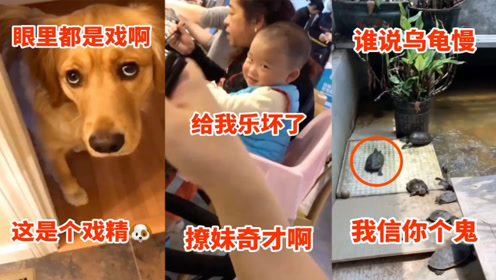 奇葩恶搞视频，奇葩恶搞视频合集