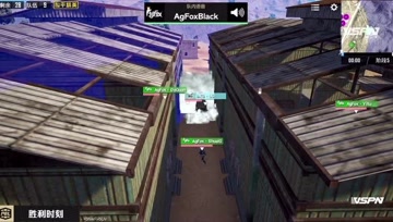 AgFox三包一淘汰DKG NV-XQF高打低成功吃鸡