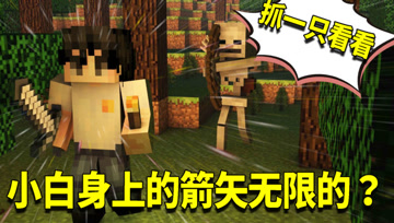 我的世界1.16生存日记50：小白的弓箭会射完吗？无限的箭矢从哪来