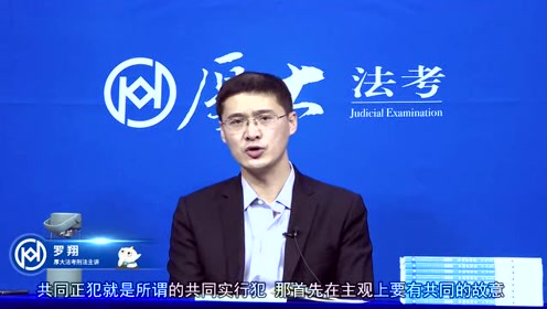 26 第26讲共同正犯 2021年厚大法考 刑法 导学课 罗翔 腾讯视频