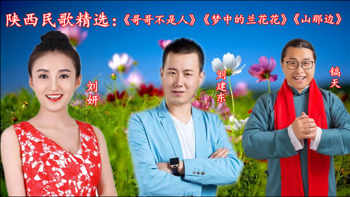 民歌精选《哥哥不是人《梦中的兰花花《山那边》