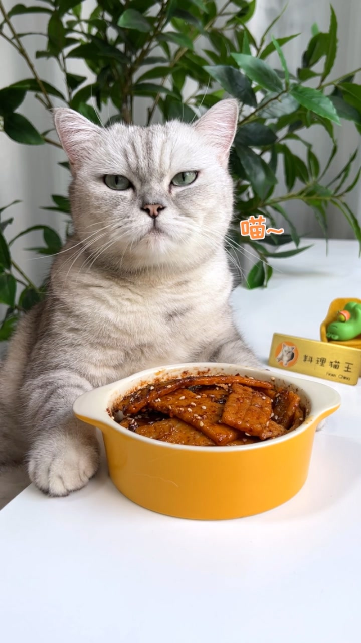 料理猫王的个人页