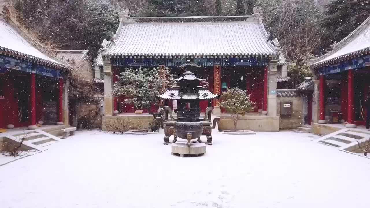 【视频】崂山飘雪披银装,仙气更足