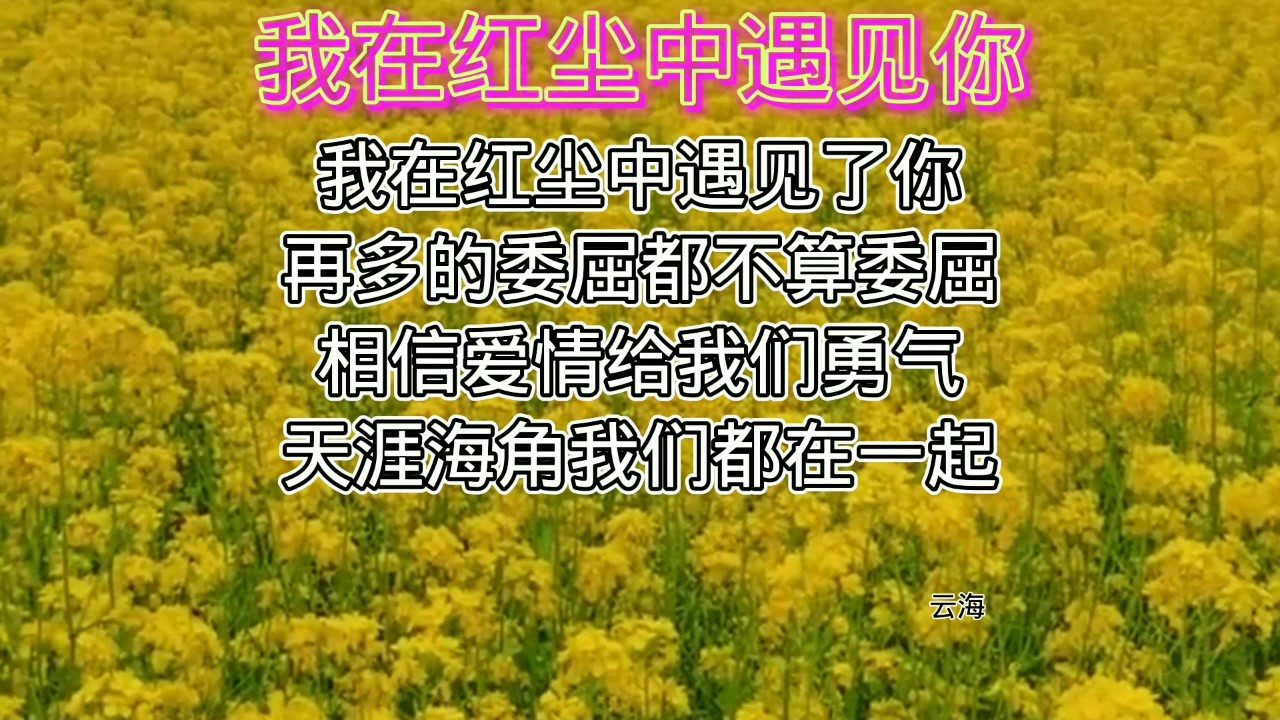 我在红尘中遇见你