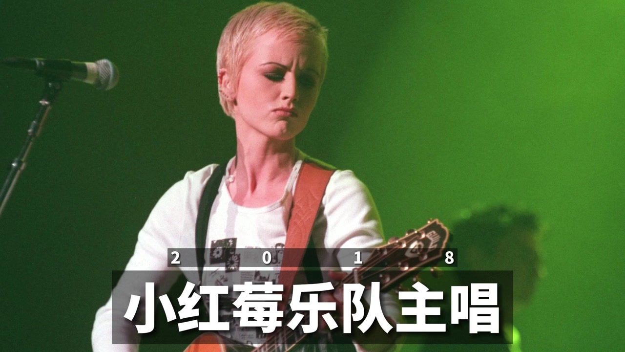 小红莓乐队(the cranberries)主唱离世4周年