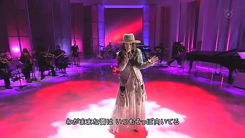 Luhica 腾讯视频